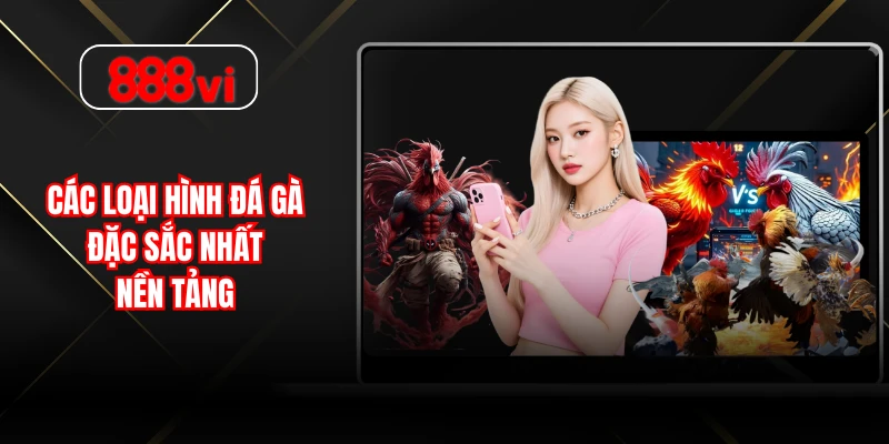 Các loại hình đá gà đặc sắc nhất nền tảng 