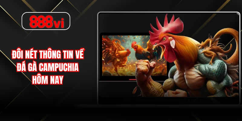 Đôi nét thông tin về đá gà campuchia hôm nay